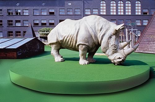 arte-rinoceronte